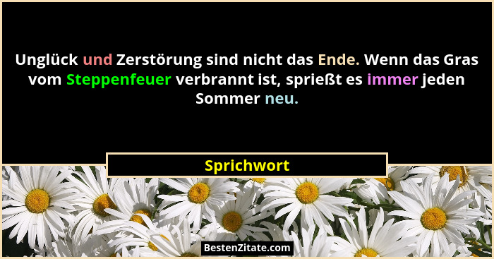 Unglück und Zerstörung sind nicht das Ende. Wenn das Gras vom Steppenfeuer verbrannt ist, sprießt es immer jeden Sommer neu.... - Sprichwort