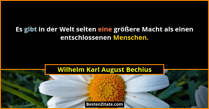Es gibt in der Welt selten eine größere Macht als einen entschlossenen Menschen.... - Wilhelm Karl August Bechius
