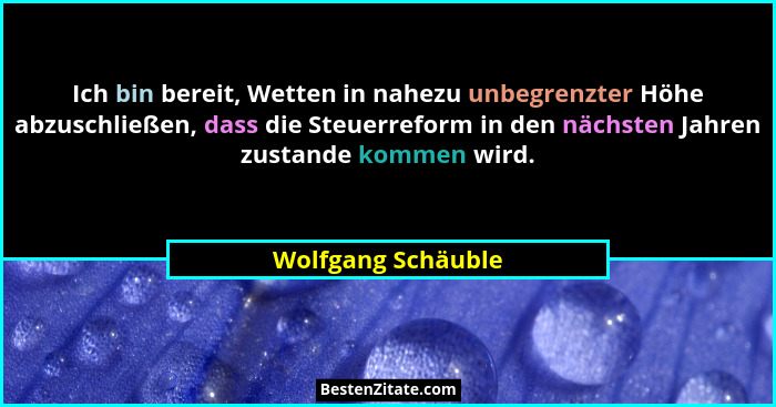 Ich bin bereit, Wetten in nahezu unbegrenzter Höhe abzuschließen, dass die Steuerreform in den nächsten Jahren zustande kommen wir... - Wolfgang Schäuble