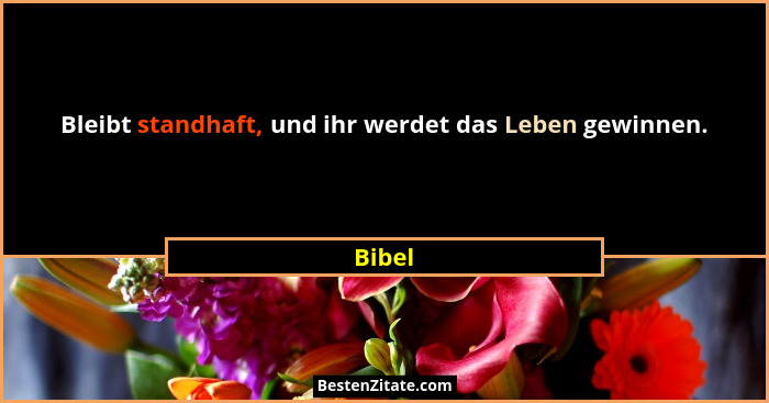 Bleibt standhaft, und ihr werdet das Leben gewinnen.... - Bibel