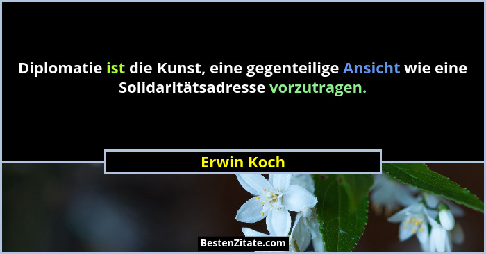 Diplomatie ist die Kunst, eine gegenteilige Ansicht wie eine Solidaritätsadresse vorzutragen.... - Erwin Koch