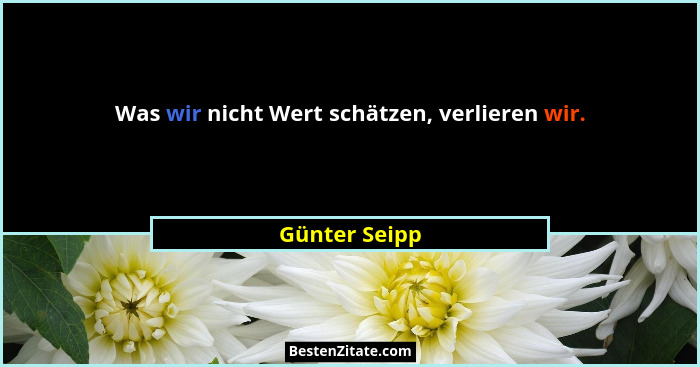 Was wir nicht Wert schätzen, verlieren wir.... - Günter Seipp