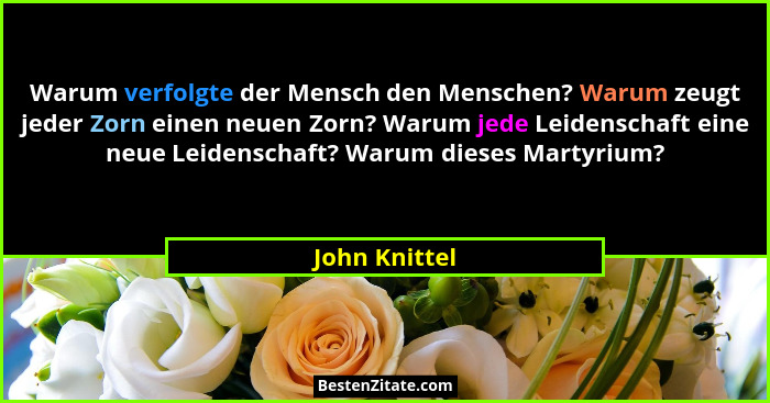 Warum verfolgte der Mensch den Menschen? Warum zeugt jeder Zorn einen neuen Zorn? Warum jede Leidenschaft eine neue Leidenschaft? Warum... - John Knittel