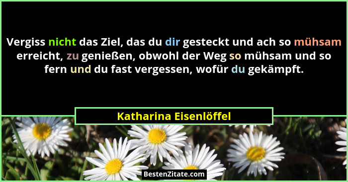 Vergiss nicht das Ziel, das du dir gesteckt und ach so mühsam erreicht, zu genießen, obwohl der Weg so mühsam und so fern und... - Katharina Eisenlöffel