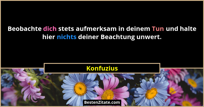 Beobachte dich stets aufmerksam in deinem Tun und halte hier nichts deiner Beachtung unwert.... - Konfuzius