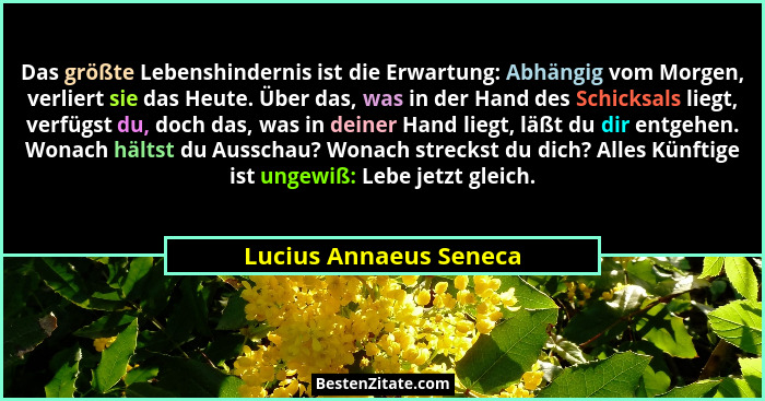 Das größte Lebenshindernis ist die Erwartung: Abhängig vom Morgen, verliert sie das Heute. Über das, was in der Hand des Schic... - Lucius Annaeus Seneca