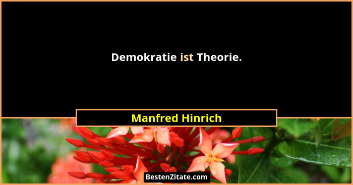 Demokratie ist Theorie.... - Manfred Hinrich