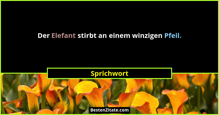 Der Elefant stirbt an einem winzigen Pfeil.... - Sprichwort
