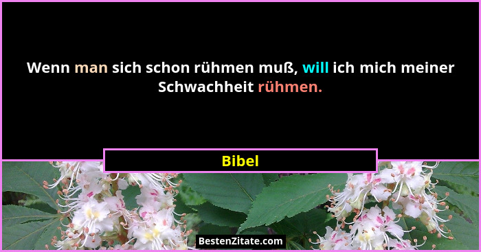 Wenn man sich schon rühmen muß, will ich mich meiner Schwachheit rühmen.... - Bibel
