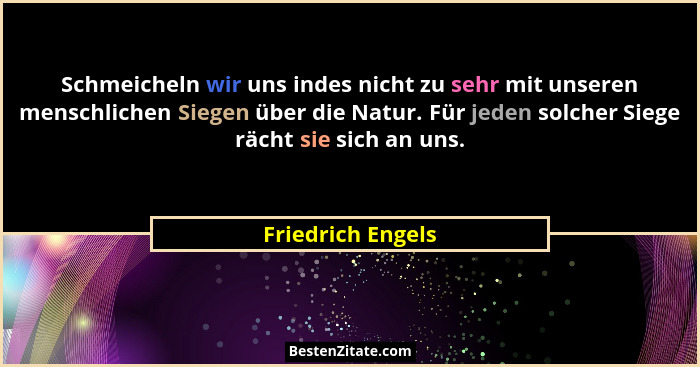 Schmeicheln wir uns indes nicht zu sehr mit unseren menschlichen Siegen über die Natur. Für jeden solcher Siege rächt sie sich an u... - Friedrich Engels