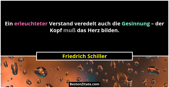 Ein erleuchteter Verstand veredelt auch die Gesinnung – der Kopf muß das Herz bilden.... - Friedrich Schiller