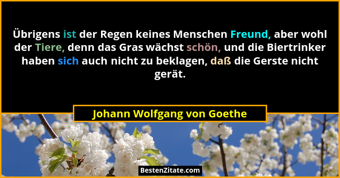 Übrigens ist der Regen keines Menschen Freund, aber wohl der Tiere, denn das Gras wächst schön, und die Biertrinker haben... - Johann Wolfgang von Goethe