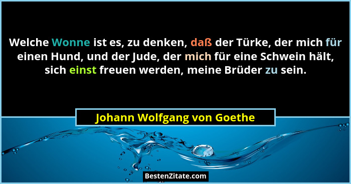 Welche Wonne ist es, zu denken, daß der Türke, der mich für einen Hund, und der Jude, der mich für eine Schwein hält, sic... - Johann Wolfgang von Goethe