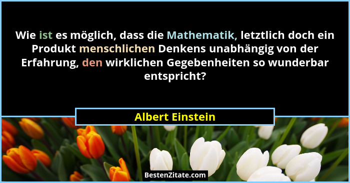 Wie ist es möglich, dass die Mathematik, letztlich doch ein Produkt menschlichen Denkens unabhängig von der Erfahrung, den wirkliche... - Albert Einstein