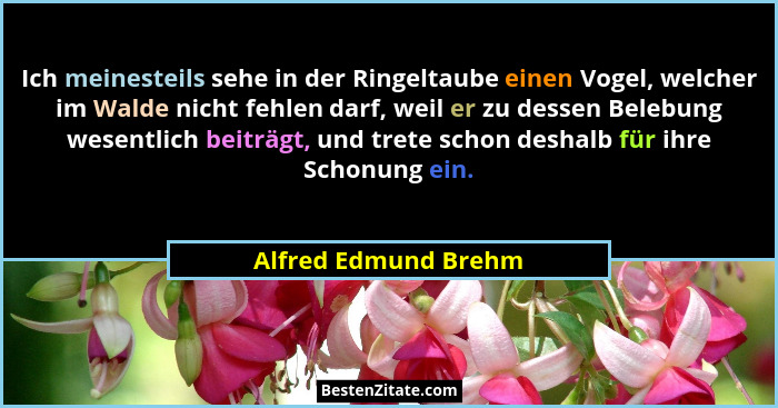 Ich meinesteils sehe in der Ringeltaube einen Vogel, welcher im Walde nicht fehlen darf, weil er zu dessen Belebung wesentlich b... - Alfred Edmund Brehm