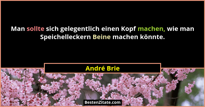 Man sollte sich gelegentlich einen Kopf machen, wie man Speichelleckern Beine machen könnte.... - André Brie