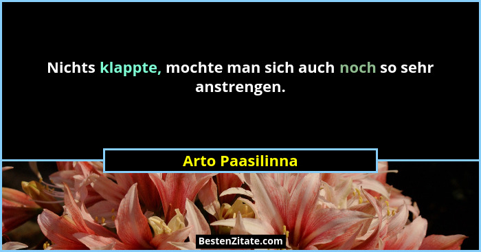 Nichts klappte, mochte man sich auch noch so sehr anstrengen.... - Arto Paasilinna