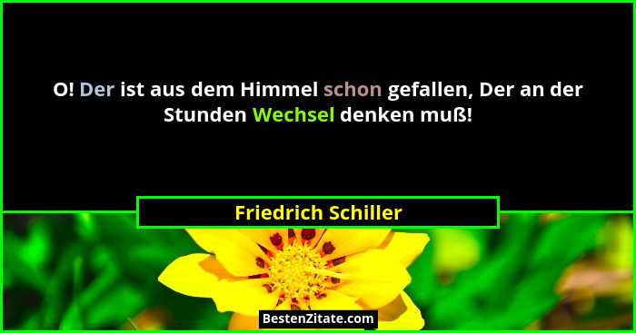 O! Der ist aus dem Himmel schon gefallen, Der an der Stunden Wechsel denken muß!... - Friedrich Schiller