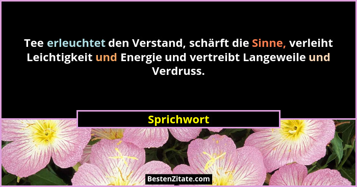 Tee erleuchtet den Verstand, schärft die Sinne, verleiht Leichtigkeit und Energie und vertreibt Langeweile und Verdruss.... - Sprichwort