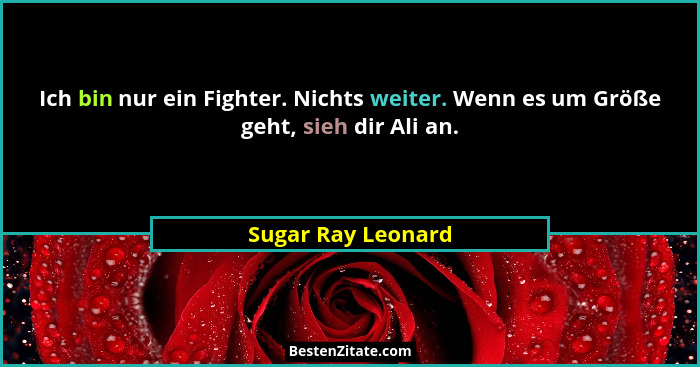 Ich bin nur ein Fighter. Nichts weiter. Wenn es um Größe geht, sieh dir Ali an.... - Sugar Ray Leonard