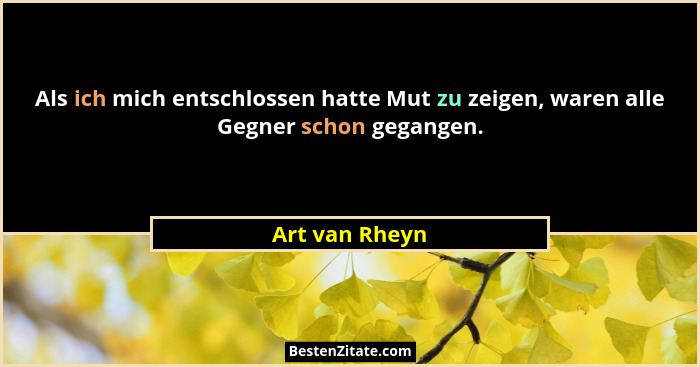 Als ich mich entschlossen hatte Mut zu zeigen, waren alle Gegner schon gegangen.... - Art van Rheyn