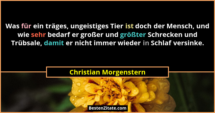 Was für ein träges, ungeistiges Tier ist doch der Mensch, und wie sehr bedarf er großer und größter Schrecken und Trübsale, da... - Christian Morgenstern