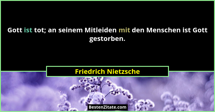 Gott ist tot; an seinem Mitleiden mit den Menschen ist Gott gestorben.... - Friedrich Nietzsche