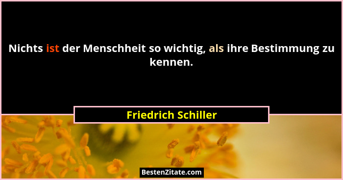 Nichts ist der Menschheit so wichtig, als ihre Bestimmung zu kennen.... - Friedrich Schiller