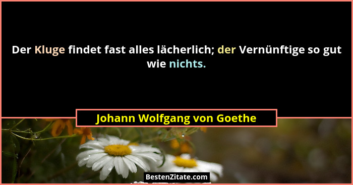 Der Kluge findet fast alles lächerlich; der Vernünftige so gut wie nichts.... - Johann Wolfgang von Goethe