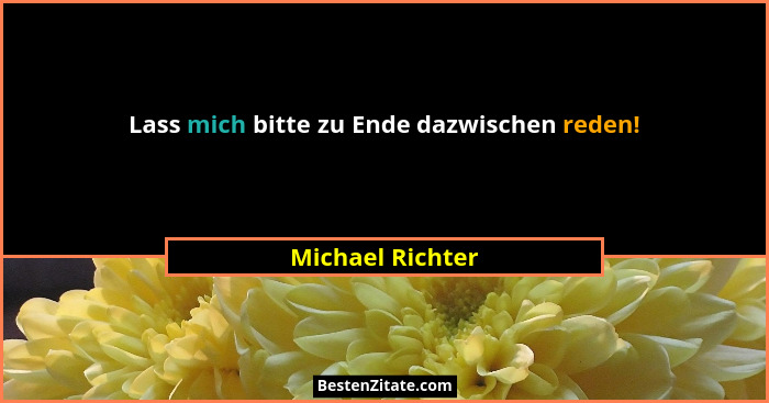 Lass mich bitte zu Ende dazwischen reden!... - Michael Richter