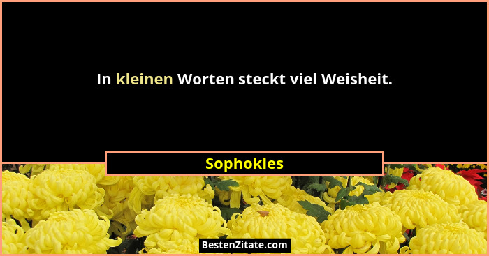 In kleinen Worten steckt viel Weisheit.... - Sophokles