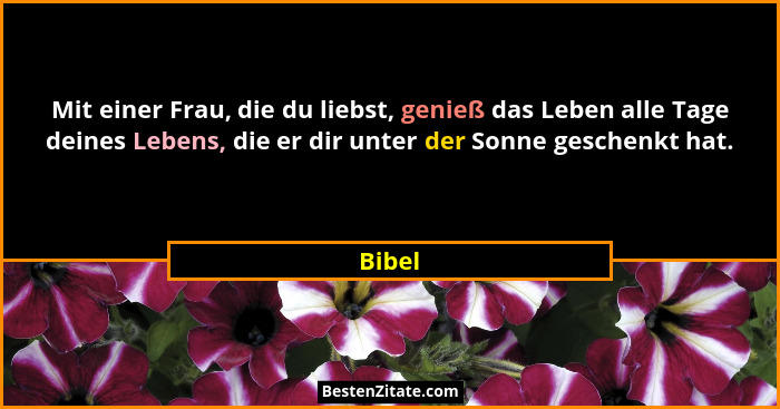 Mit einer Frau, die du liebst, genieß das Leben alle Tage deines Lebens, die er dir unter der Sonne geschenkt hat.... - Bibel