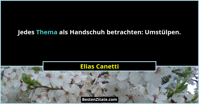 Jedes Thema als Handschuh betrachten: Umstülpen.... - Elias Canetti