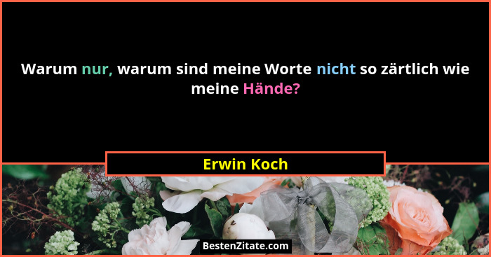 Warum nur, warum sind meine Worte nicht so zärtlich wie meine Hände?... - Erwin Koch