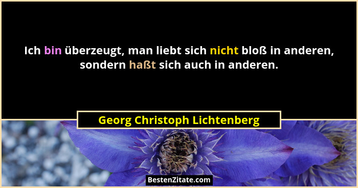 Ich bin überzeugt, man liebt sich nicht bloß in anderen, sondern haßt sich auch in anderen.... - Georg Christoph Lichtenberg