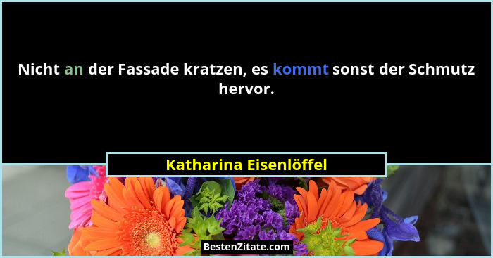 Nicht an der Fassade kratzen, es kommt sonst der Schmutz hervor.... - Katharina Eisenlöffel
