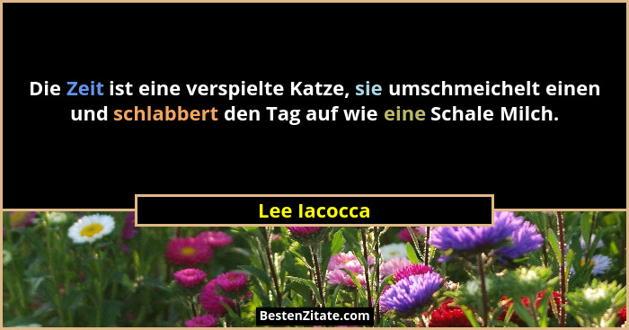 Die Zeit ist eine verspielte Katze, sie umschmeichelt einen und schlabbert den Tag auf wie eine Schale Milch.... - Lee Iacocca