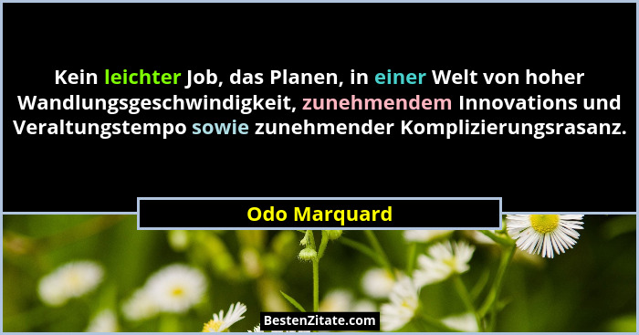 Kein leichter Job, das Planen, in einer Welt von hoher Wandlungsgeschwindigkeit, zunehmendem Innovations und Veraltungstempo sowie zune... - Odo Marquard
