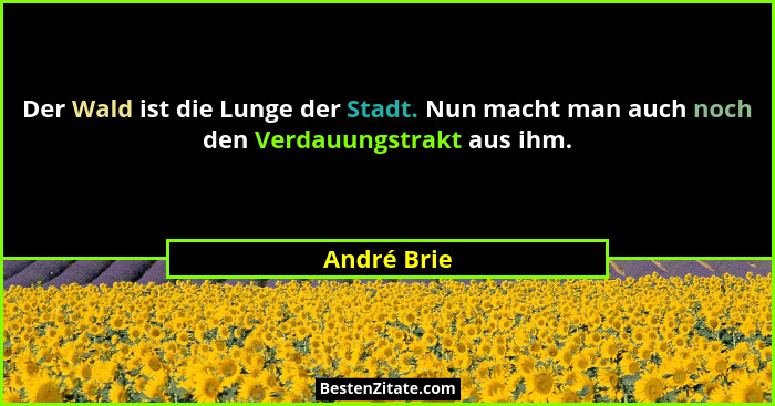 Der Wald ist die Lunge der Stadt. Nun macht man auch noch den Verdauungstrakt aus ihm.... - André Brie