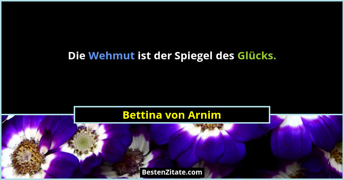 Die Wehmut ist der Spiegel des Glücks.... - Bettina von Arnim