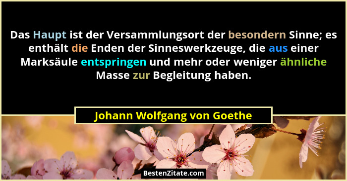 Das Haupt ist der Versammlungsort der besondern Sinne; es enthält die Enden der Sinneswerkzeuge, die aus einer Marksäule... - Johann Wolfgang von Goethe