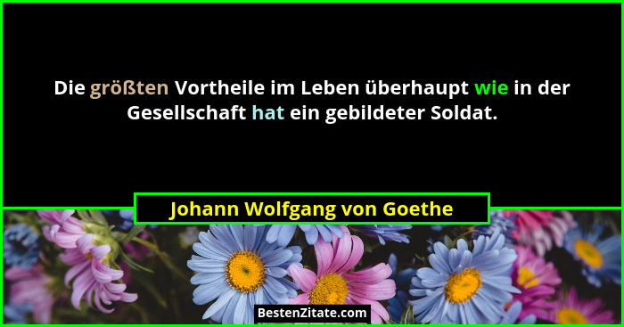 Die größten Vortheile im Leben überhaupt wie in der Gesellschaft hat ein gebildeter Soldat.... - Johann Wolfgang von Goethe