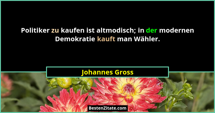 Politiker zu kaufen ist altmodisch; in der modernen Demokratie kauft man Wähler.... - Johannes Gross