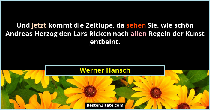 Und jetzt kommt die Zeitlupe, da sehen Sie, wie schön Andreas Herzog den Lars Ricken nach allen Regeln der Kunst entbeint.... - Werner Hansch