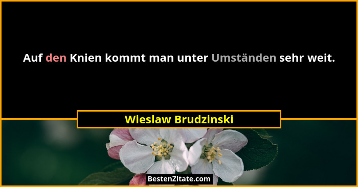 Auf den Knien kommt man unter Umständen sehr weit.... - Wieslaw Brudzinski