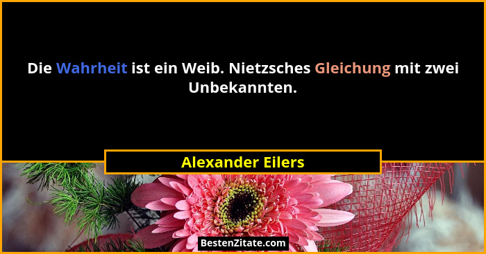 Die Wahrheit ist ein Weib. Nietzsches Gleichung mit zwei Unbekannten.... - Alexander Eilers