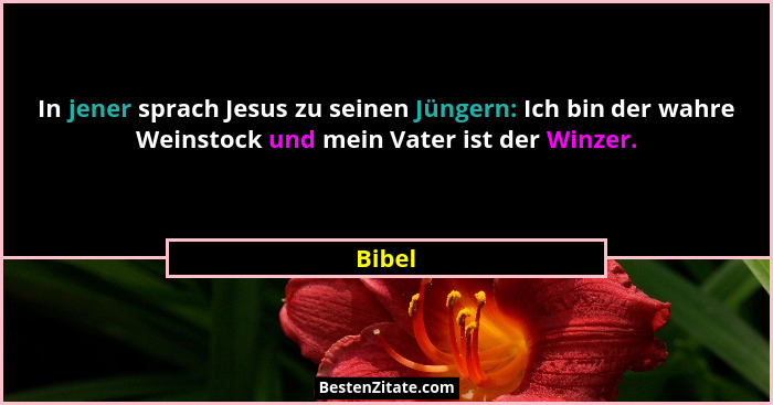 In jener sprach Jesus zu seinen Jüngern: Ich bin der wahre Weinstock und mein Vater ist der Winzer.... - Bibel