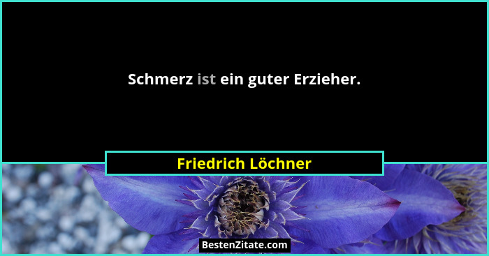 Schmerz ist ein guter Erzieher.... - Friedrich Löchner