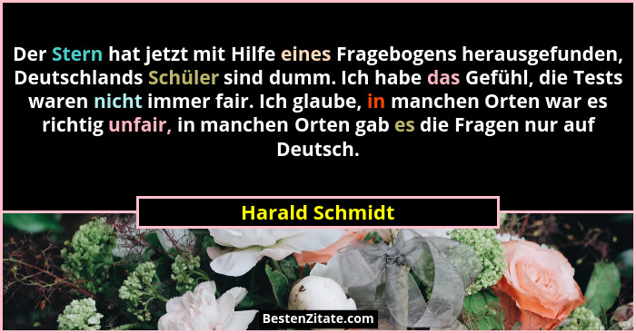 Der Stern hat jetzt mit Hilfe eines Fragebogens herausgefunden, Deutschlands Schüler sind dumm. Ich habe das Gefühl, die Tests waren... - Harald Schmidt