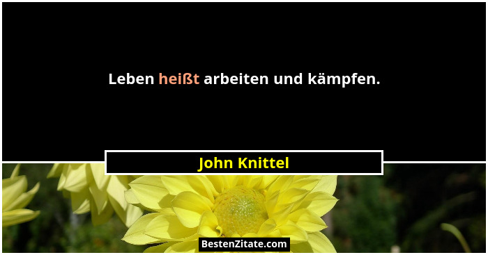 Leben heißt arbeiten und kämpfen.... - John Knittel